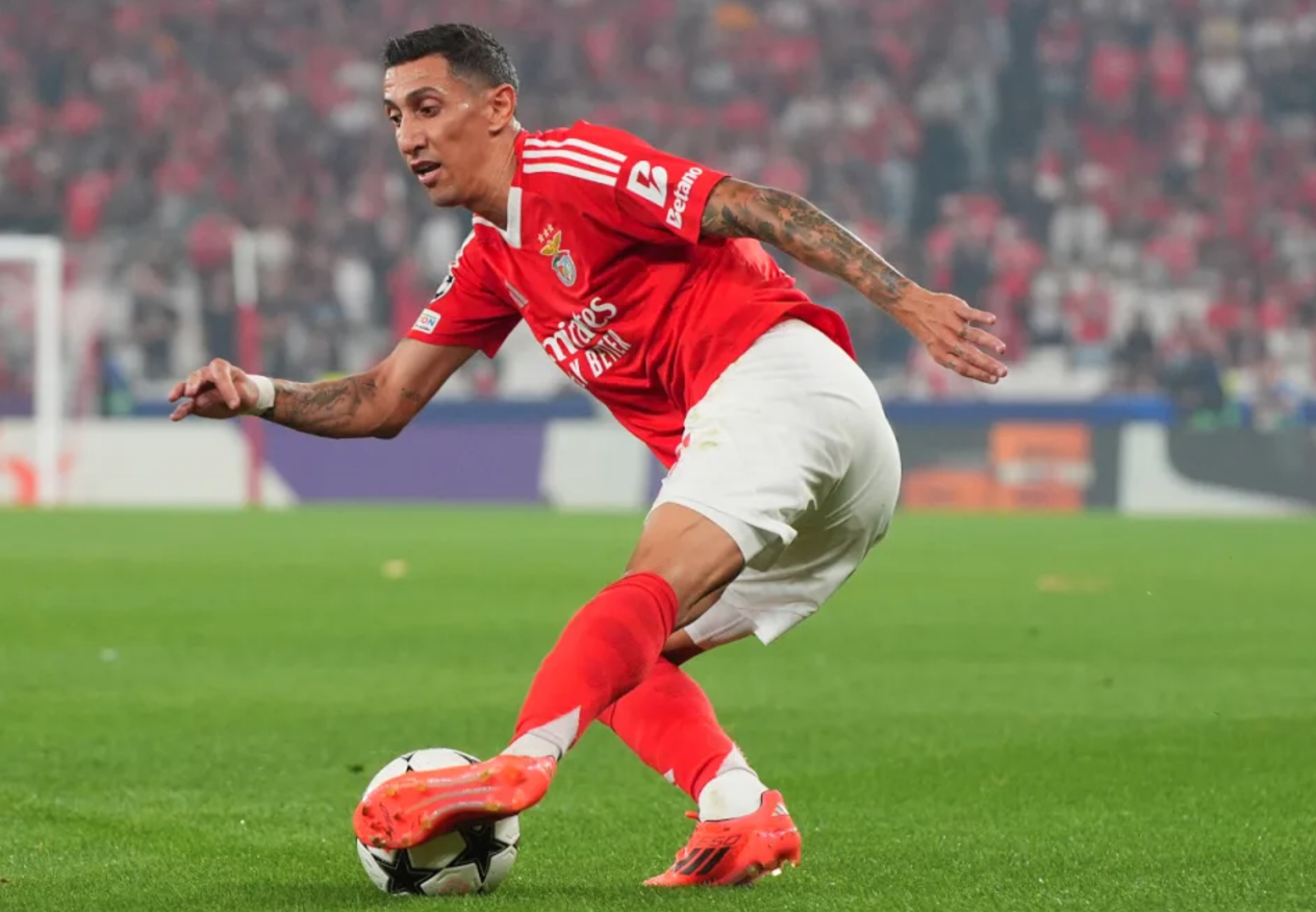 Benfica və Bolonya